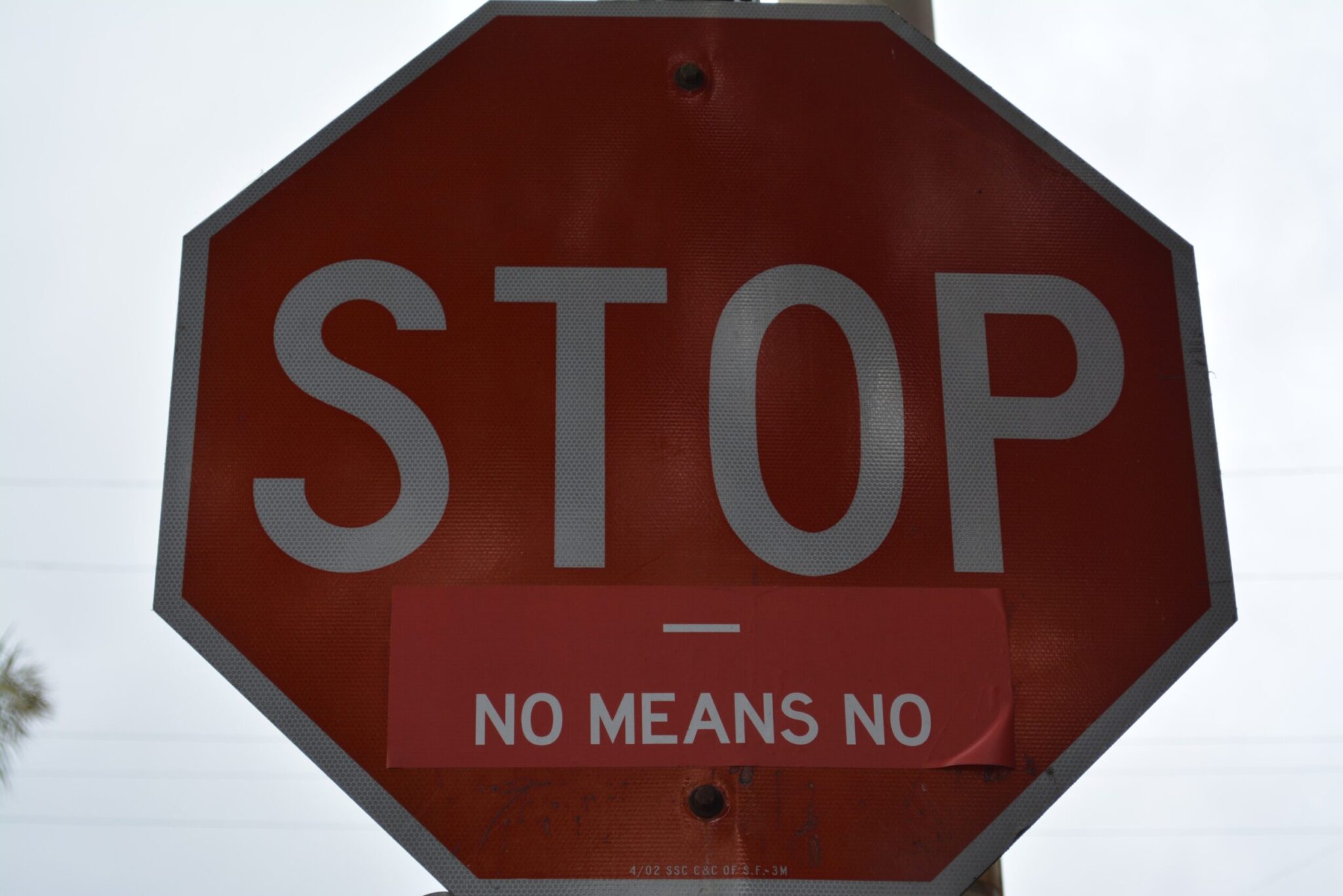 kt-nash-tKqqbDiya8A-unsplash kt-nash-tKqqbDiya8A-unsplash