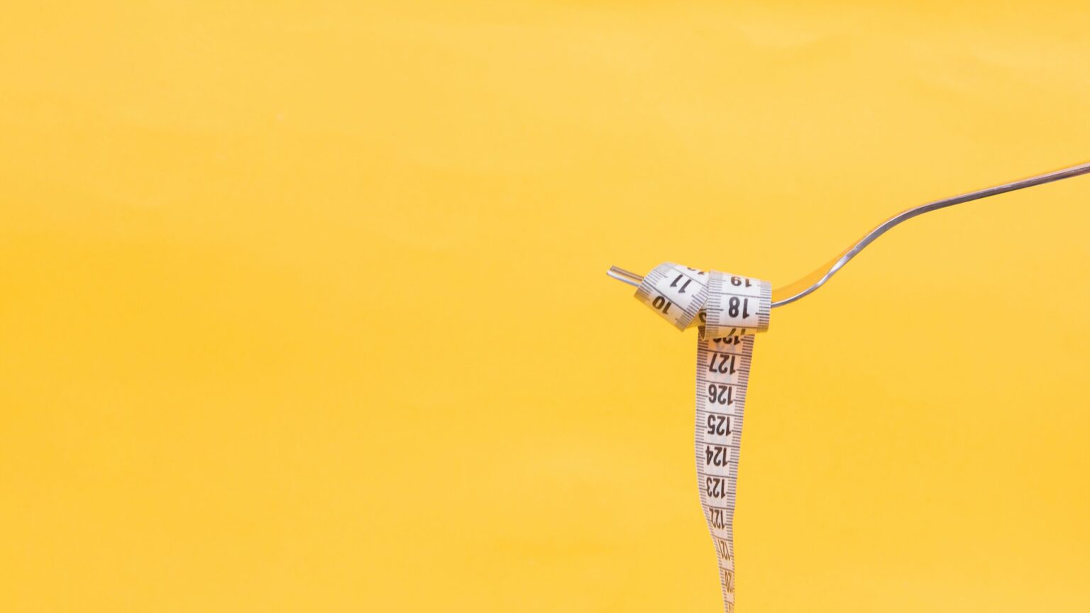 diana-polekhina-OpB7gkQY9oc-unsplash diana-polekhina-OpB7gkQY9oc-unsplash