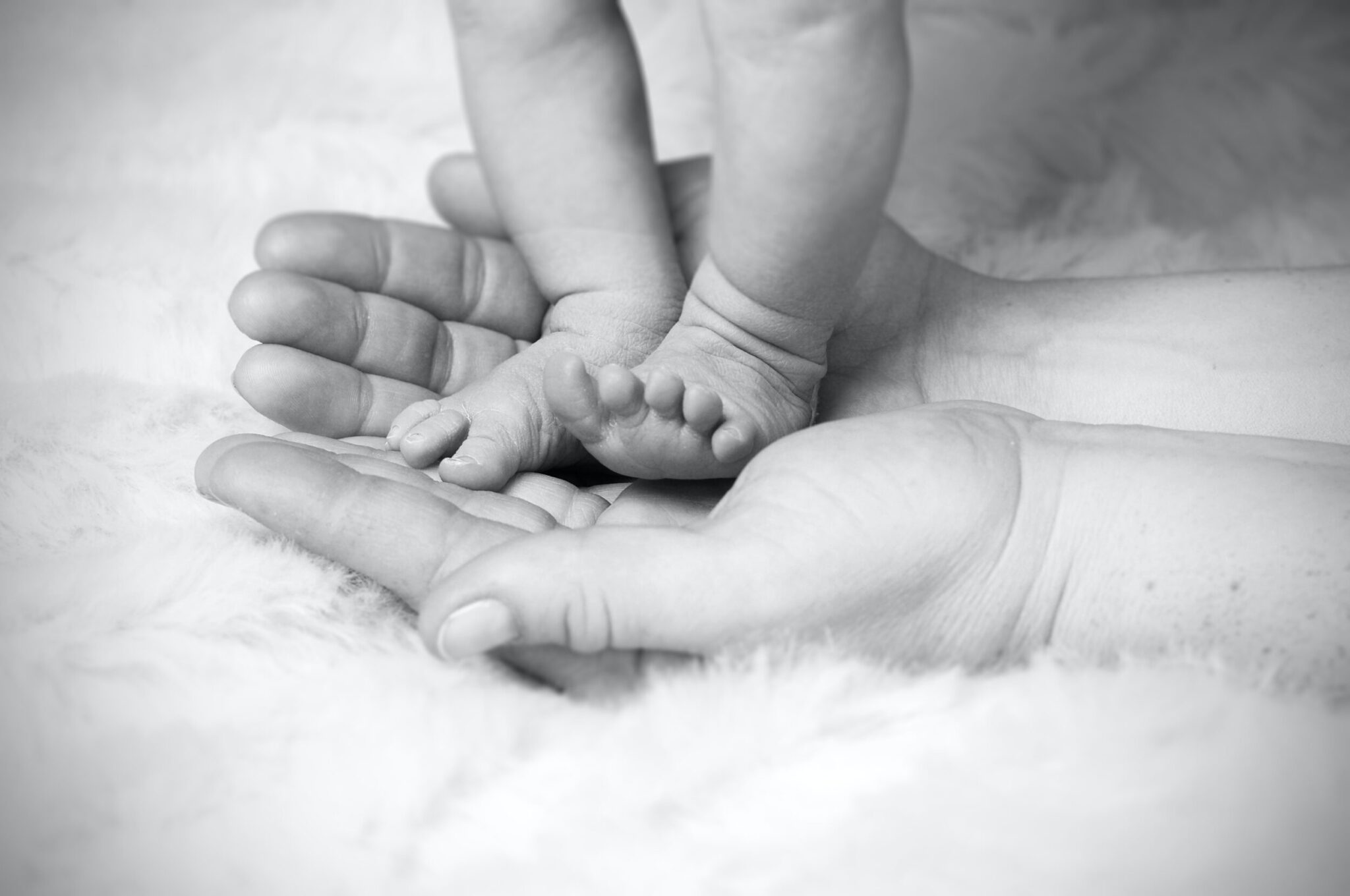 heike-mintel-4vzfUNqi7h4-unsplash heike-mintel-4vzfUNqi7h4-unsplash