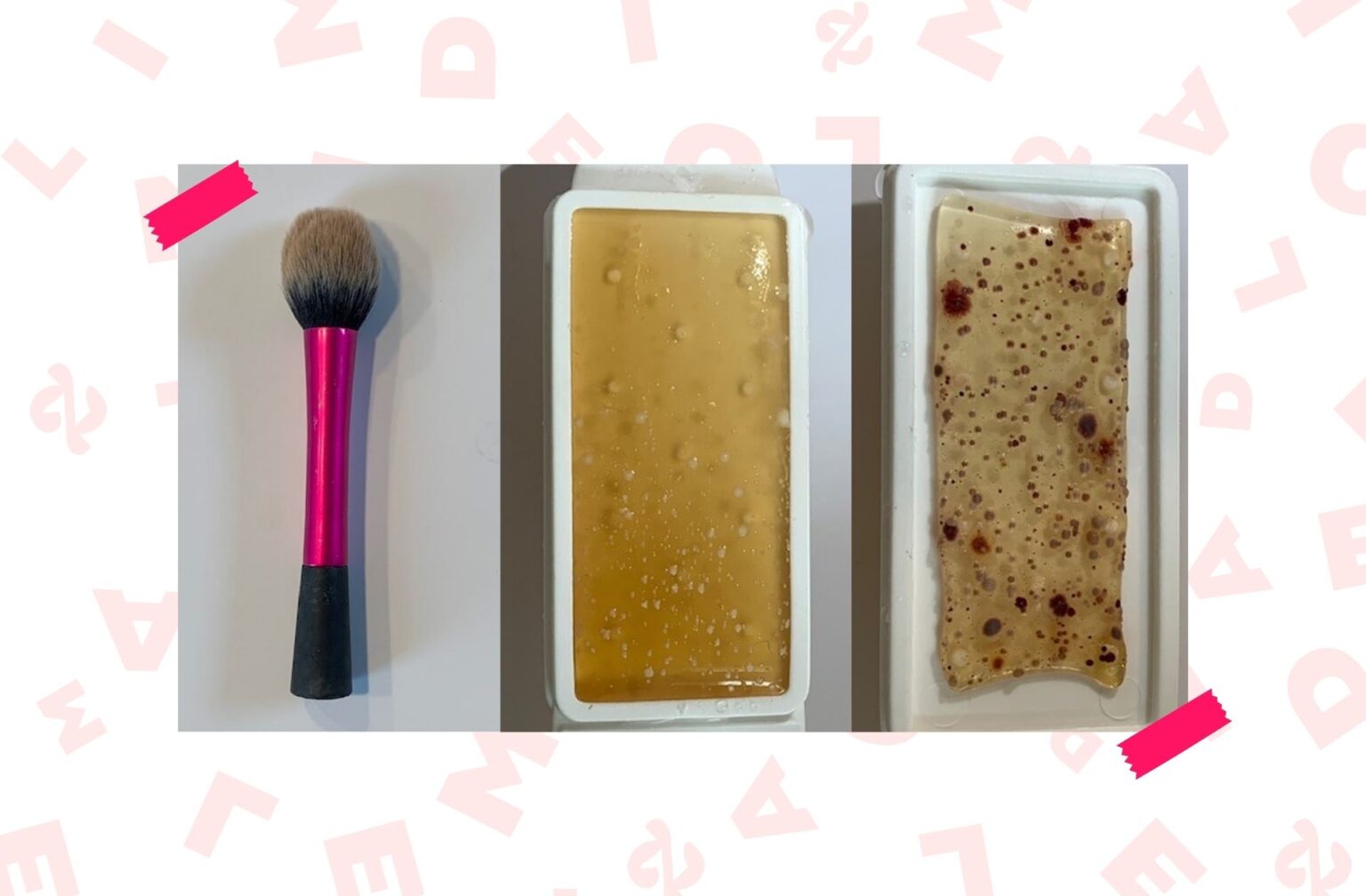 pinceau-blush-champignons-moisissures pinceau-blush-champignons-moisissures