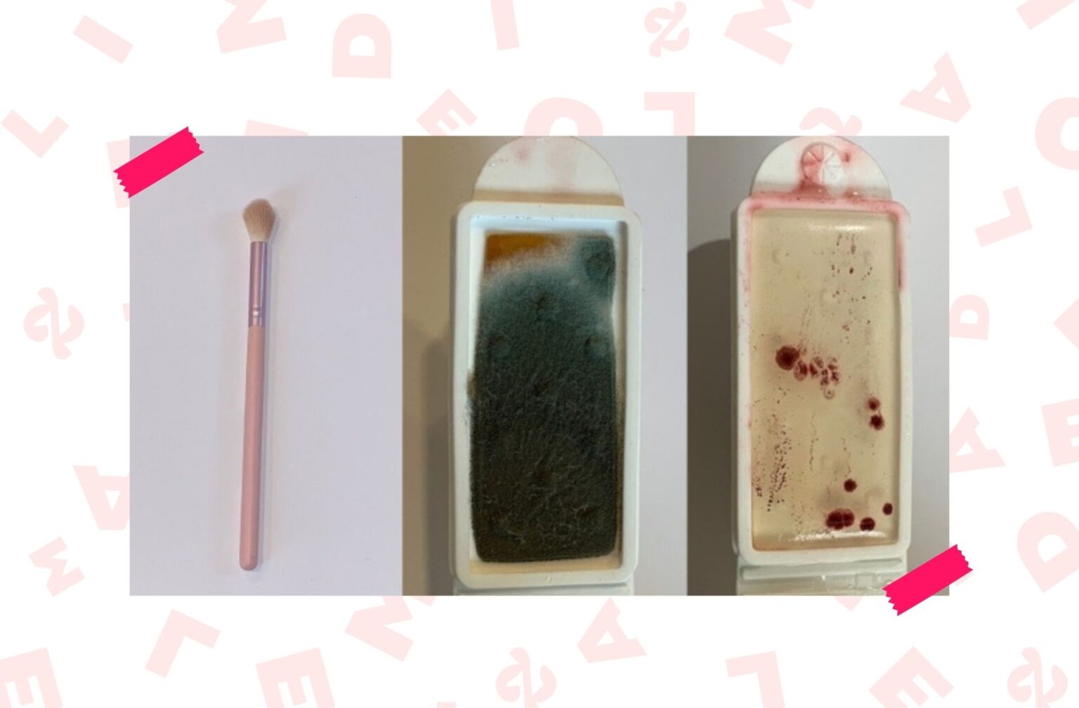 pinceau-maquillage-moissisures-bacteries pinceau-maquillage-moissisures-bacteries