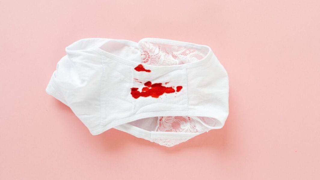 culotte-menstruelle-responsable-fava