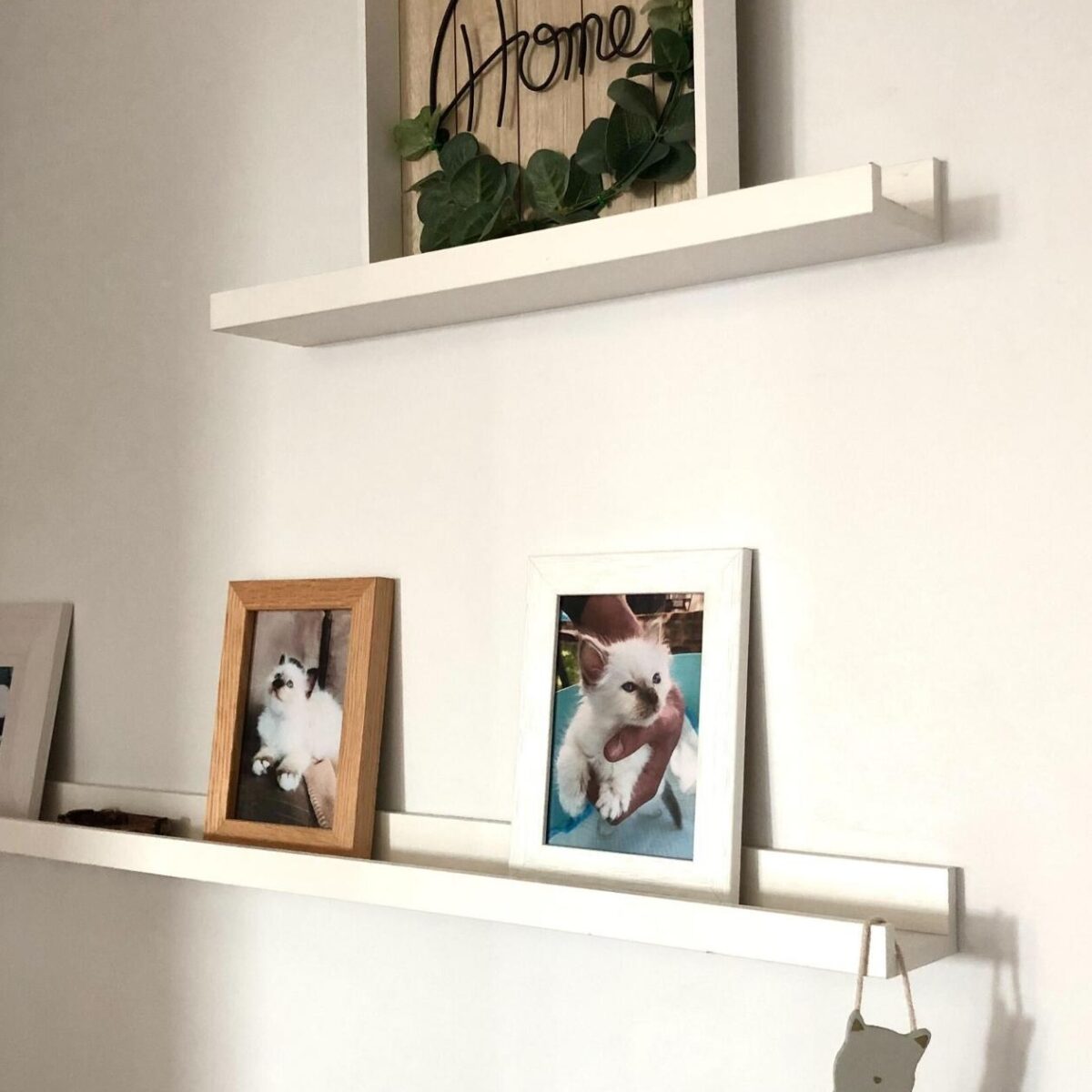 appart_Audrey_1 appart_Audrey_1