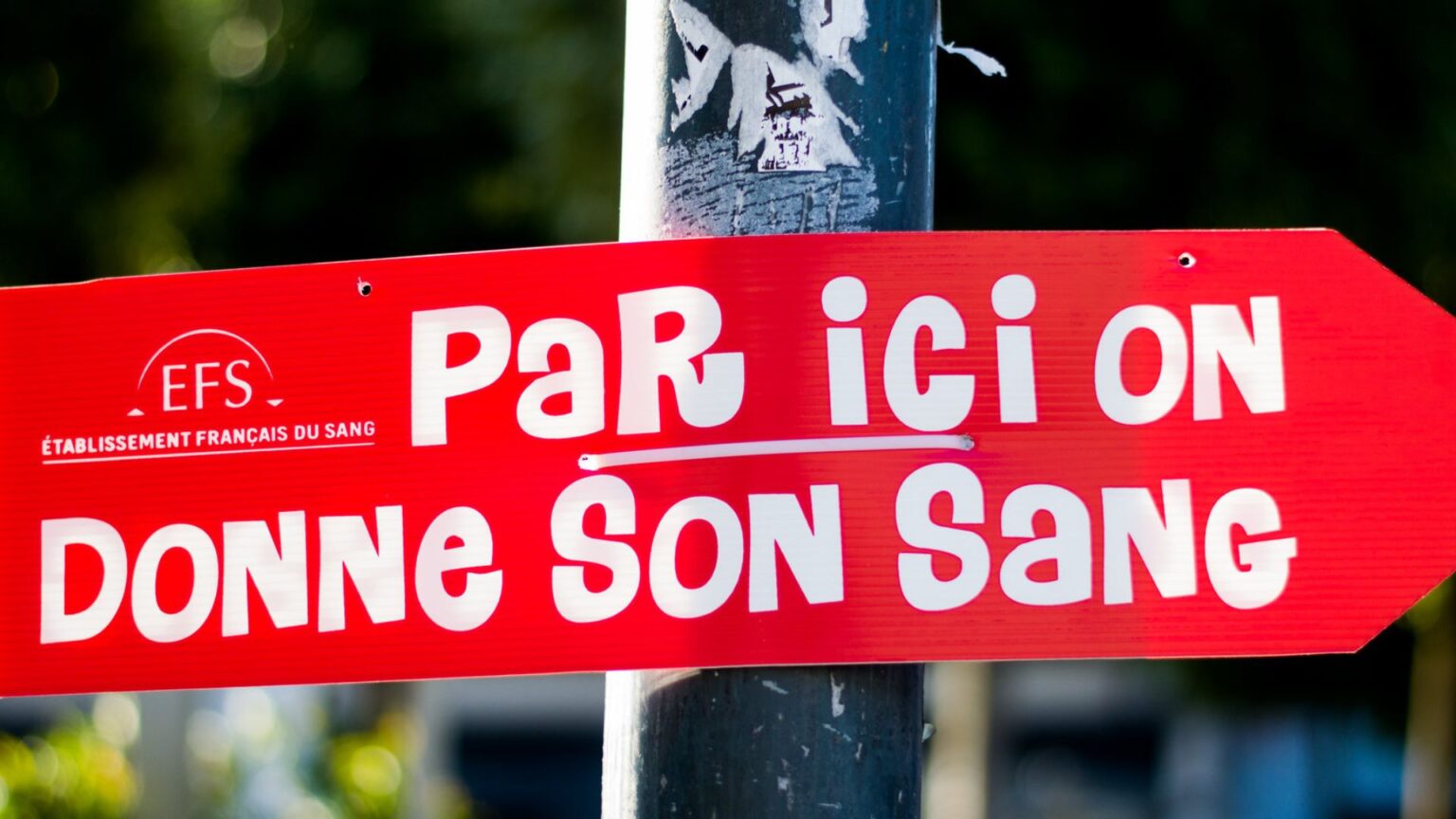 don du sang efs don du sang efs
