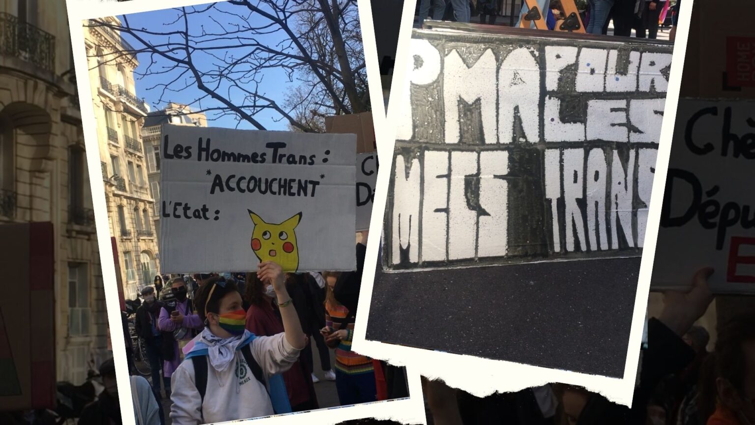PMA-transgenres-hommes-conseil-constitutionnel-pmapourtoutes-giaps PMA-transgenres-hommes-conseil-constitutionnel-pmapourtoutes-giaps