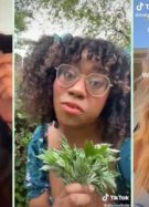De fausses recettes de tisanes abortives vraiment dangereuses pullulent sur TikTok, pas merci les États-Unis