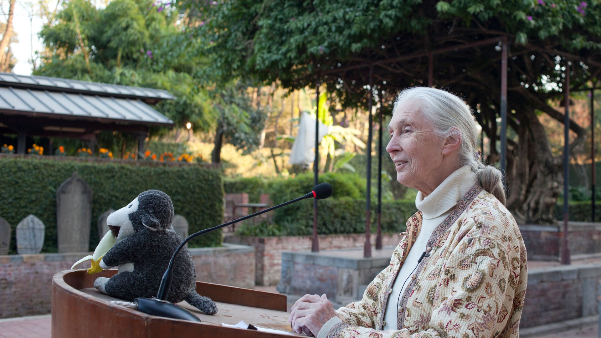 Jane Goodall, the most famous of primatologists, has a Barbie in her ...