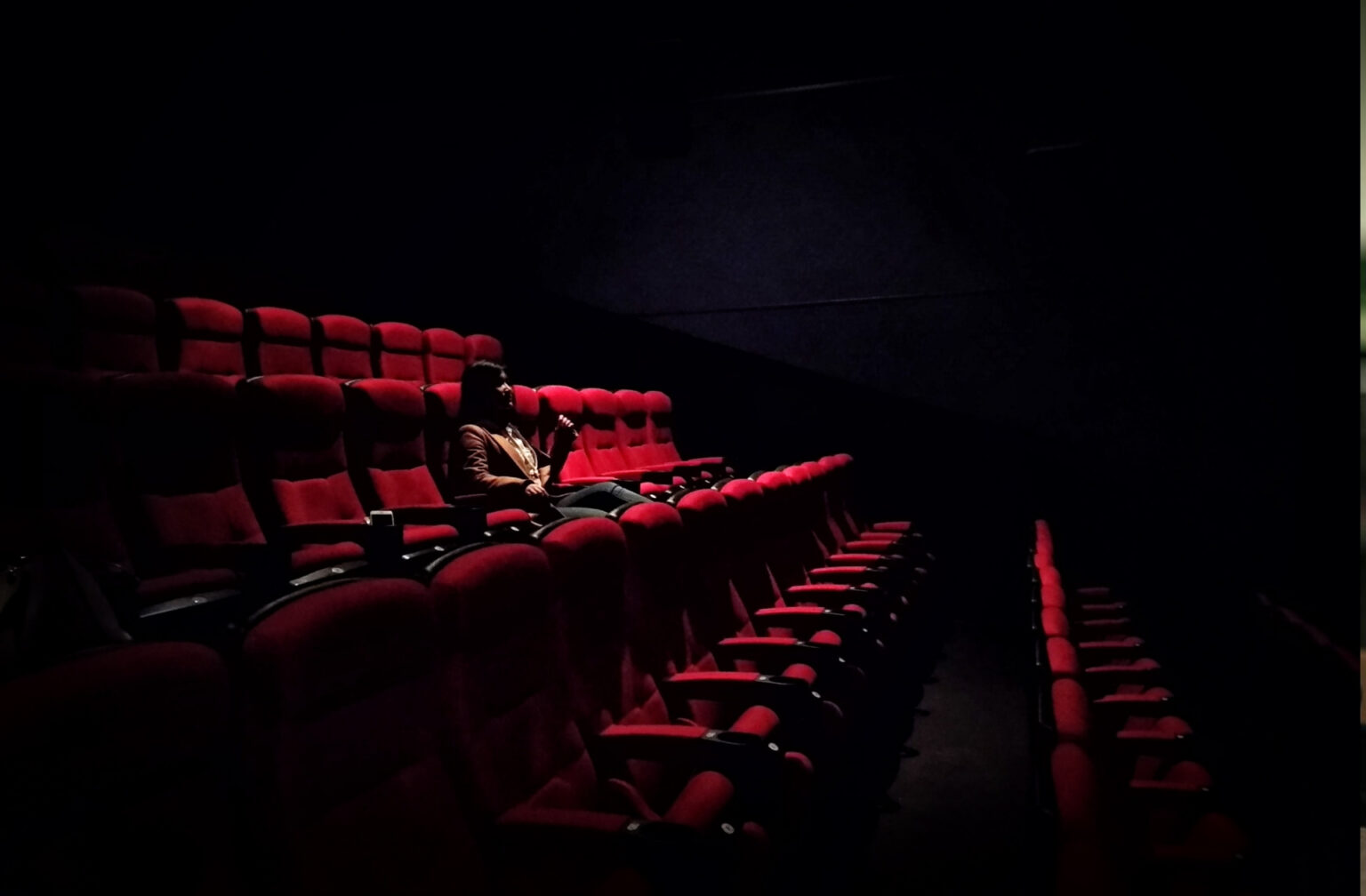 “We are in a crucial moment”: why did French cinema organize the States General? “We are in a crucial moment”: why did French cinema organize the States General?
