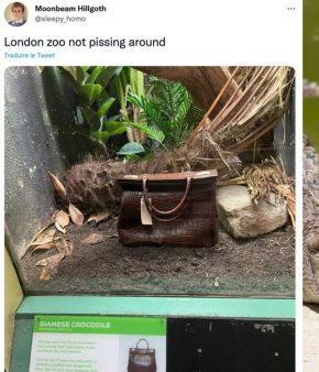 Le zoo de Londres troque un crocodile par un sac pour alerter sur les animaux en voie d’extinction