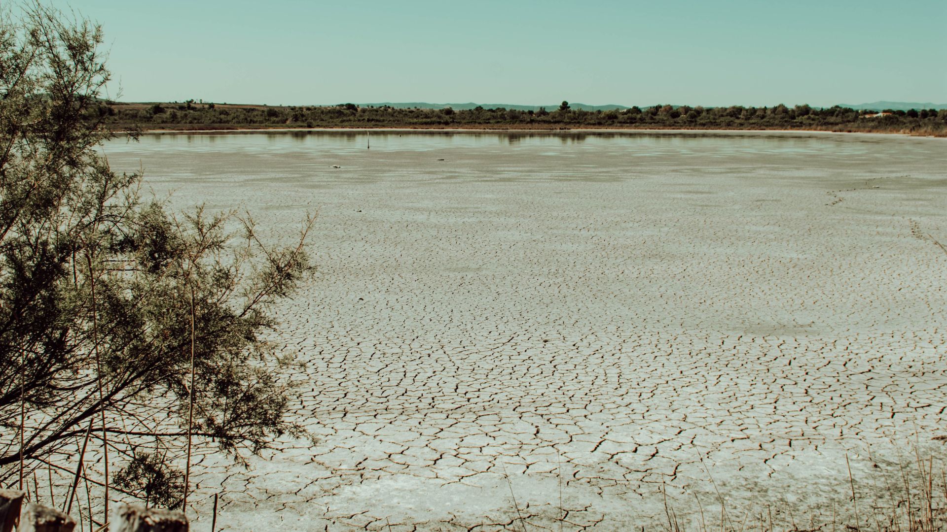 maes-josephine-unsplash-secheresse canicule