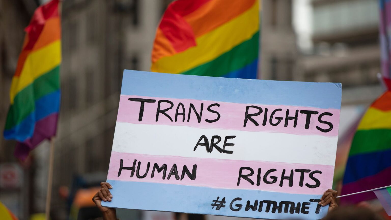 « Les droits des personnes trans sont des droits humains » © inkdrop via Canva « Les droits des personnes trans sont des droits humains » © inkdrop via Canva