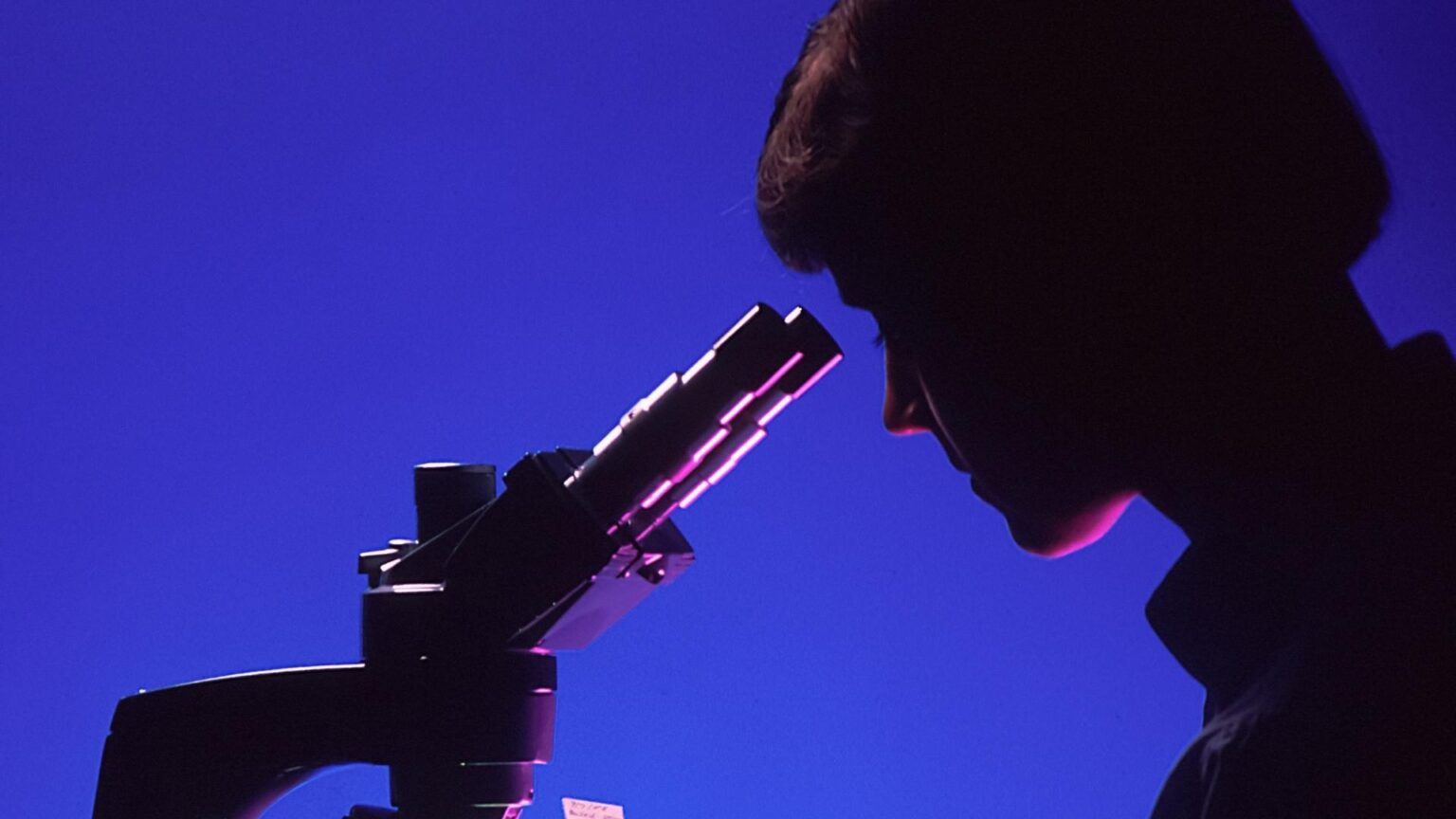 scientifique scientifique