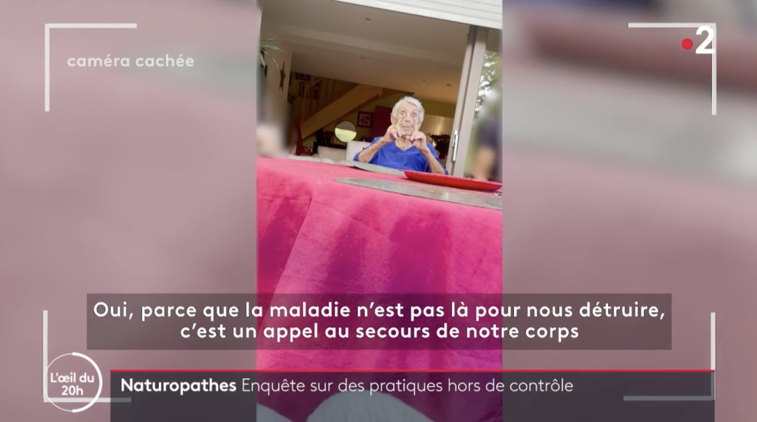 Capture d'écran de « L'Œil du 20h » France 2.