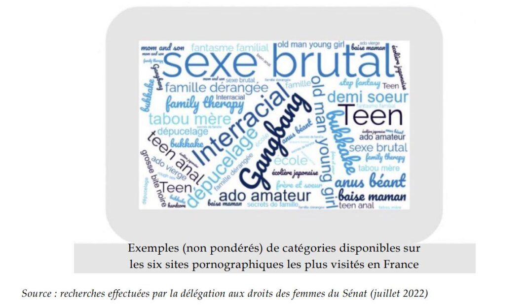 categories_sites_pornographiques_rapport_senat categories_sites_pornographiques_rapport_senat