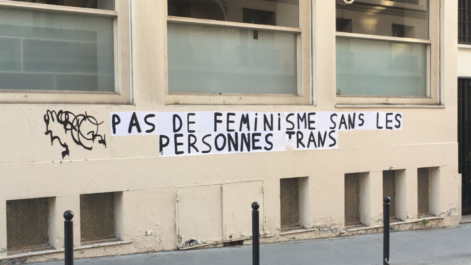 pas de feminisme sans les femmes trans photo MLC pas de feminisme sans les femmes trans photo MLC