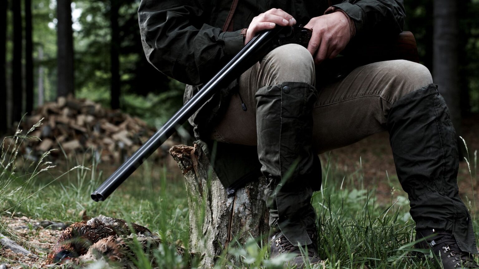 After how many incidents will we really look into the question of hunting in France? After how many incidents will we really look into the question of hunting in France?
