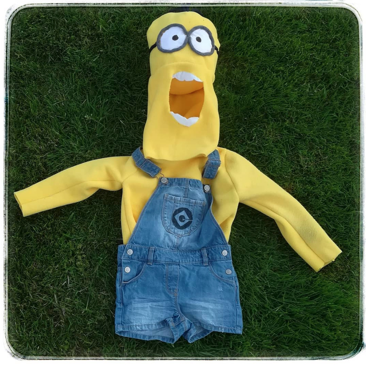 deguisement-minion