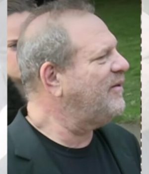 harvey weinstein