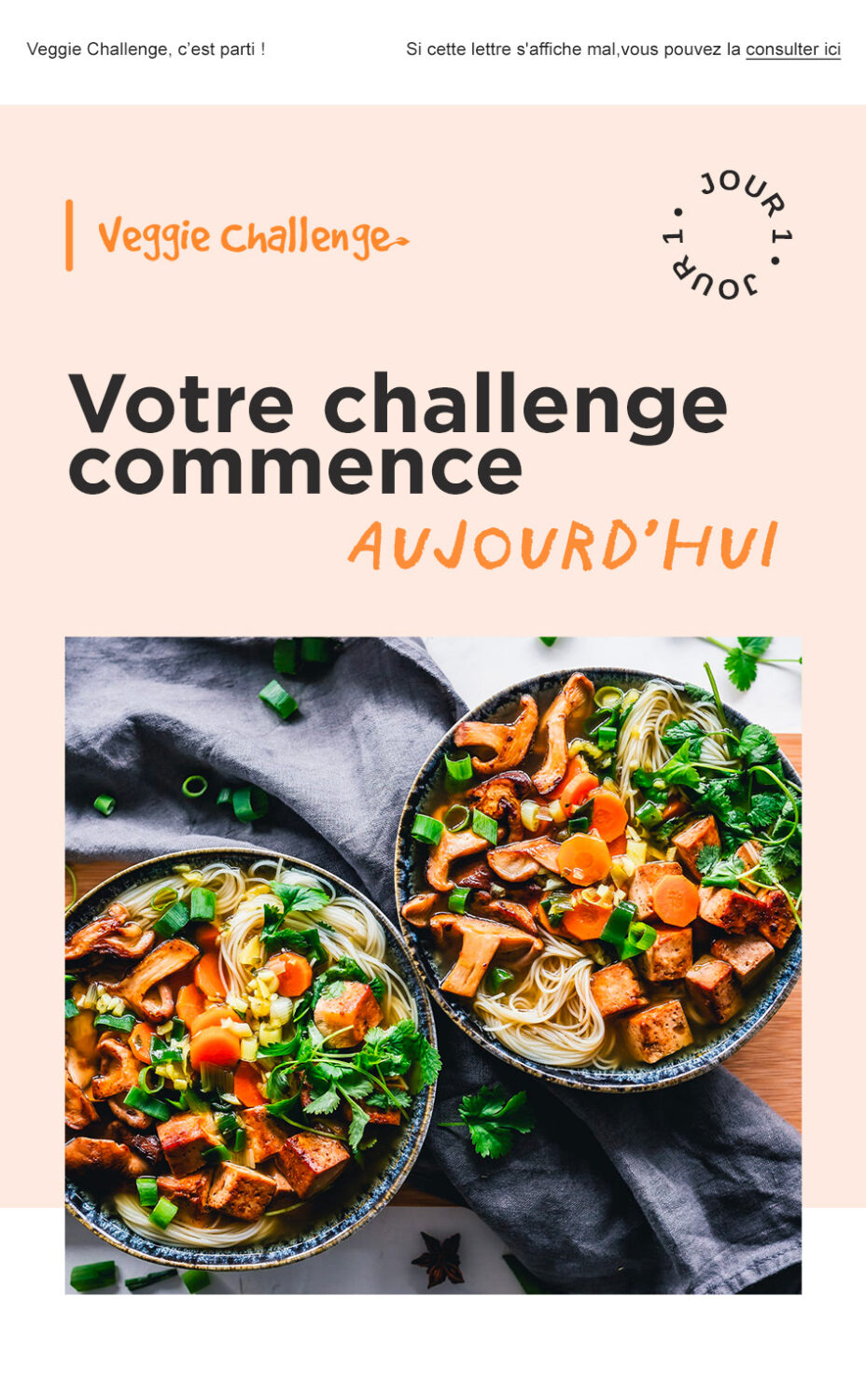 l214-veggie-challenge-cuisine-recette-vegan-newsletter l214-veggie-challenge-cuisine-recette-vegan-newsletter