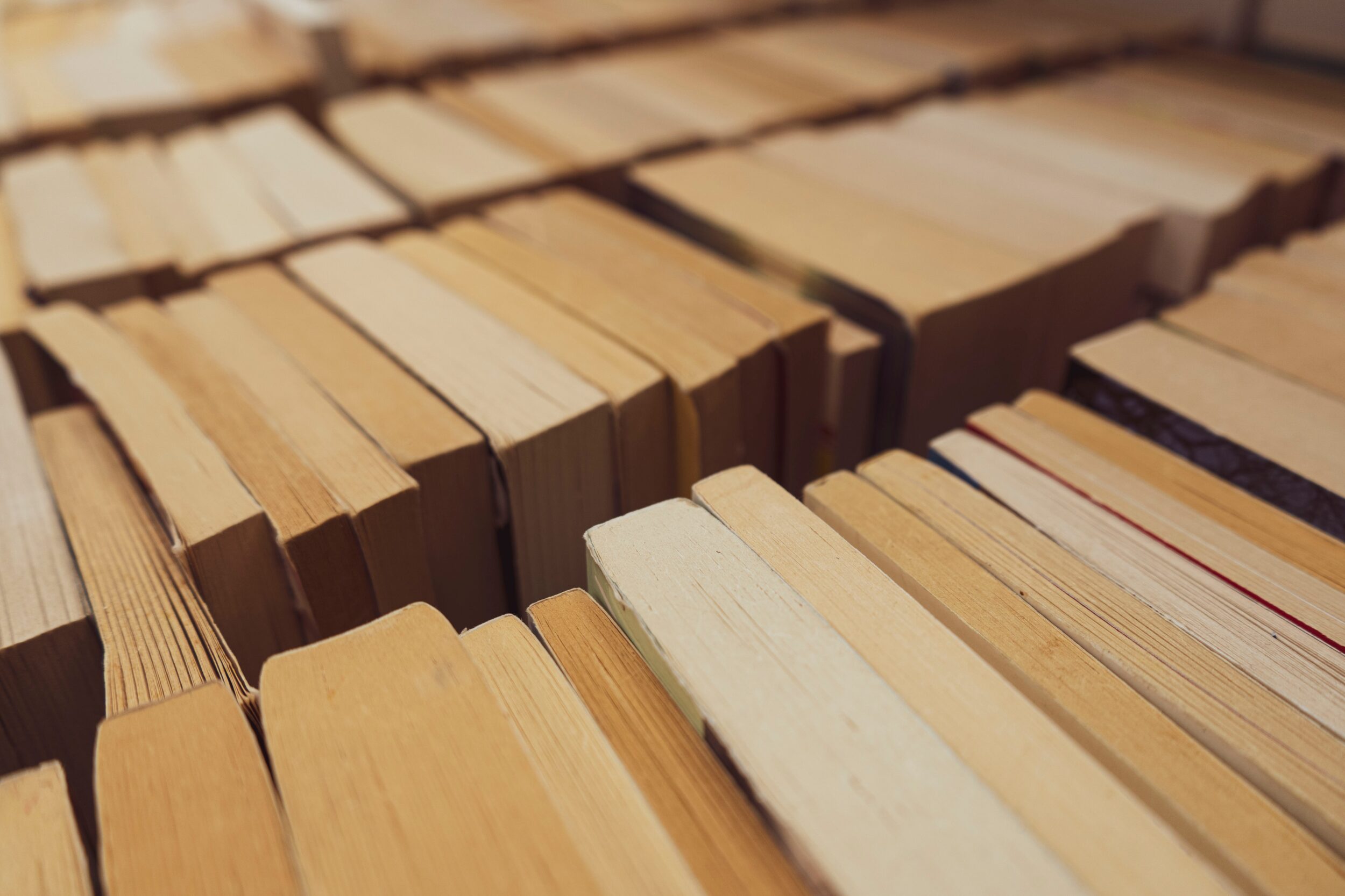 manel-sean-sTAkDPslLs4-unsplash