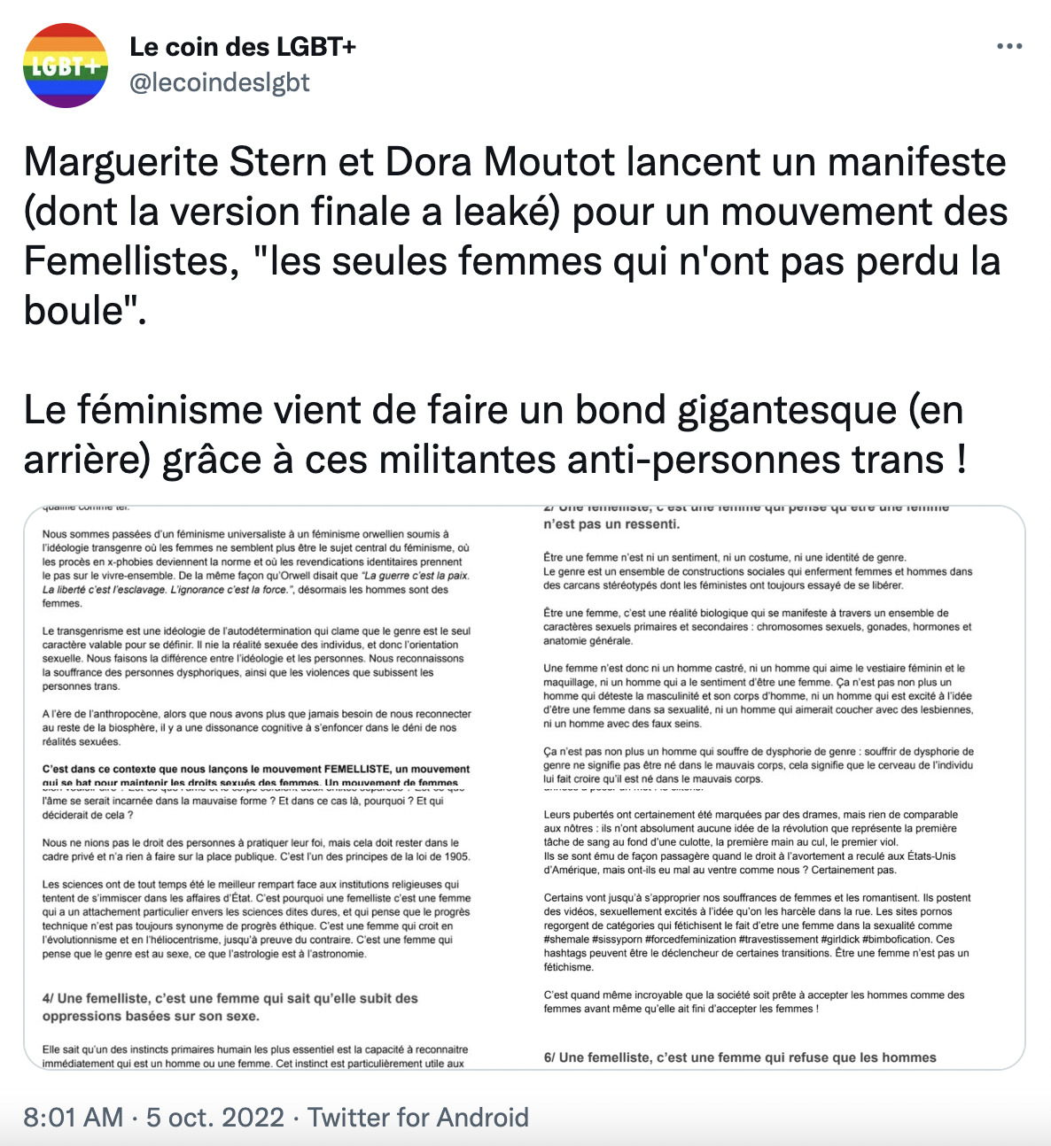Marguerite Stern et Dora Moutot lancent un manifeste (dont la version finale a leaké) pour un mouvement des Femellistes
