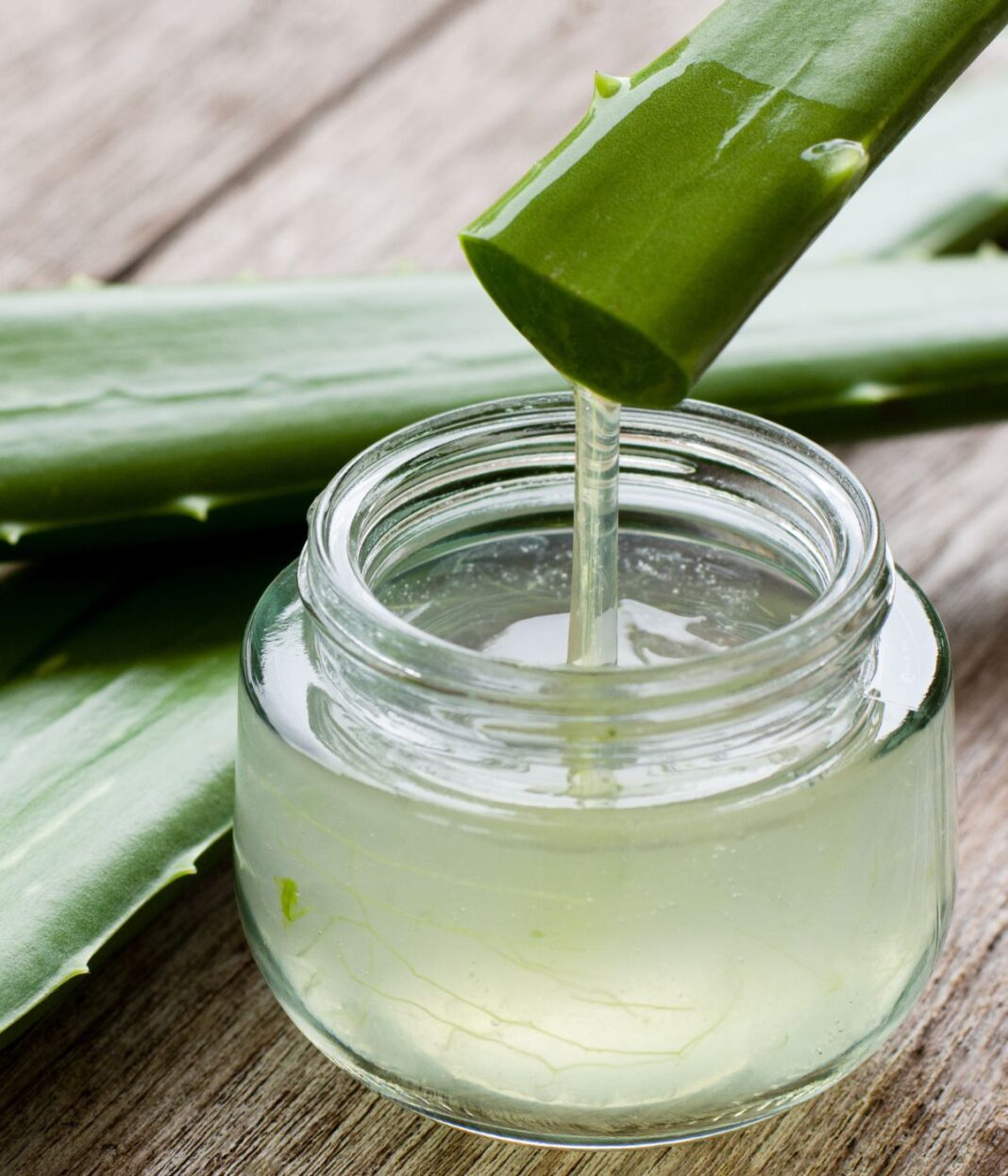 aloe-vera-hair-use-beauty