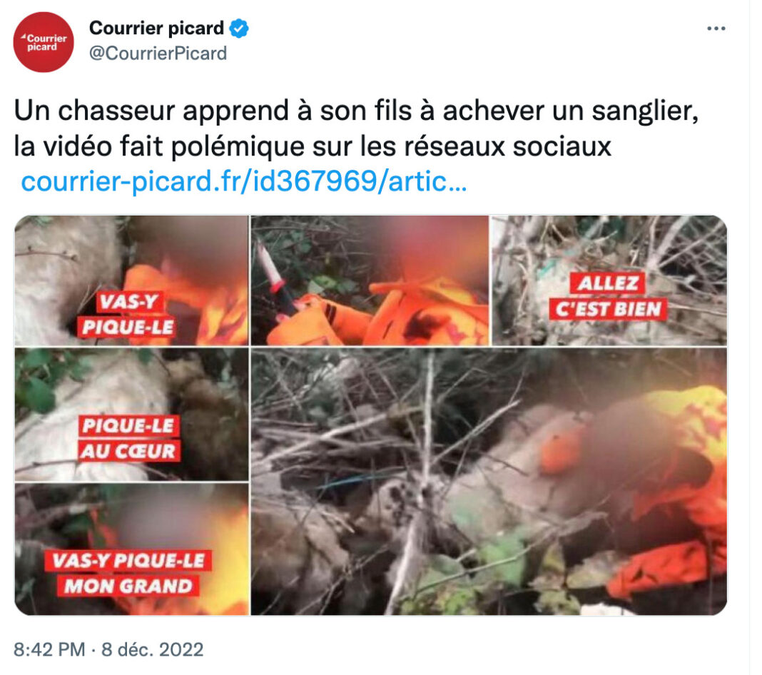 A hunting father asks his son to finish off a boar with a knife A hunting father asks his son to finish off a boar with a knife