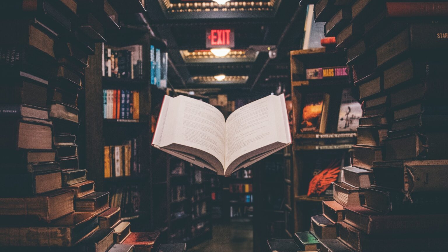 Filippo Bernardini, the publisher who stole the highly anticipated books before they were published Filippo Bernardini, the publisher who stole the highly anticipated books before they were published
