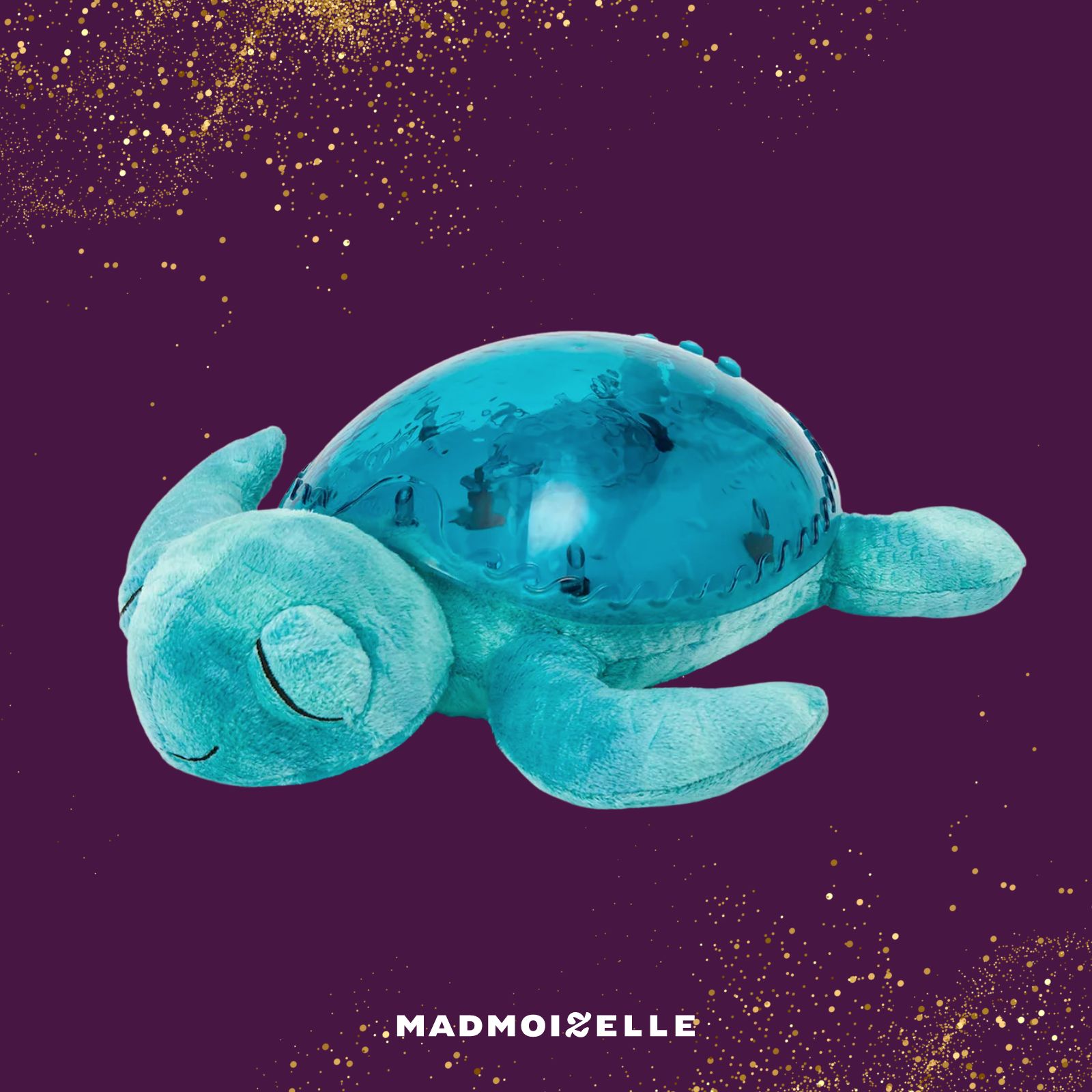 turtle turtle