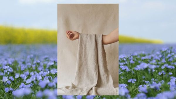 Un bras tenant une étoffe de lin sur un fond de champ de lin en fleurs © Philipe Montigny de la part de Getty Images via Canva ; Eliza Alves de la part de capturenow via Canva