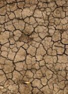 La France connaît un épisode de sécheresse hivernal sans précédent