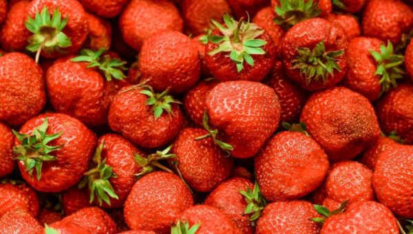 Quels fruits et légumes consommer en avril ? // Source : Unsplash