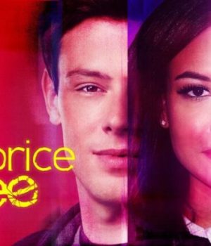 The price of Glee, affiche // Source : discovery