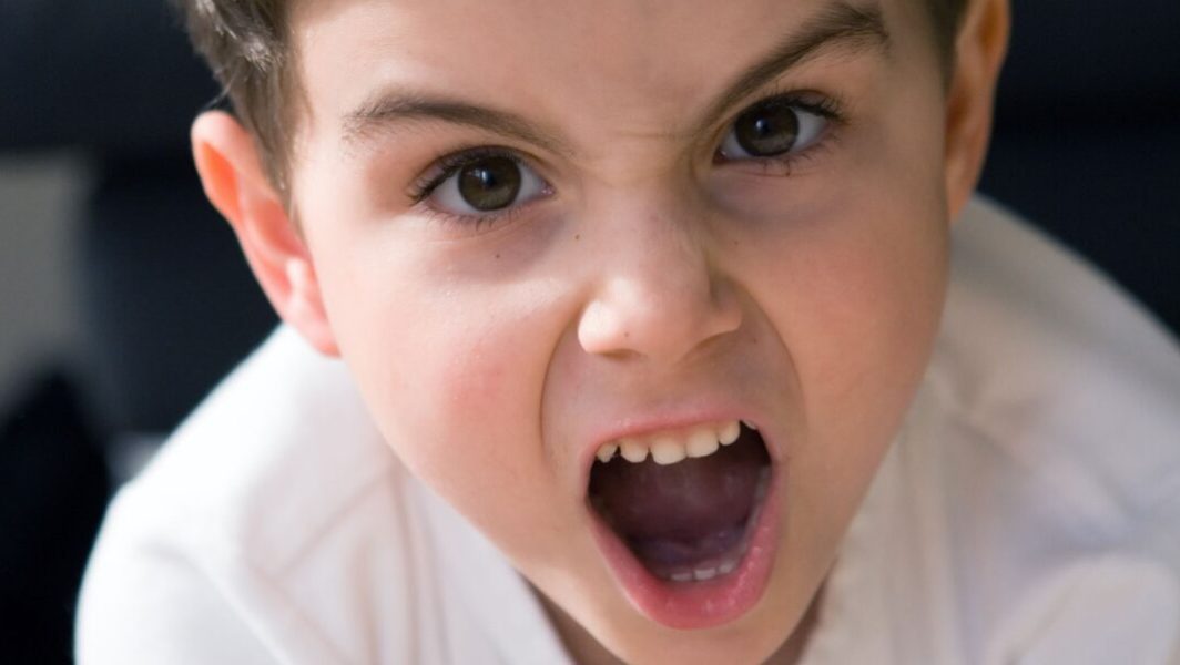 Peut-on détester les enfants des autres // Source : Getty Images signature