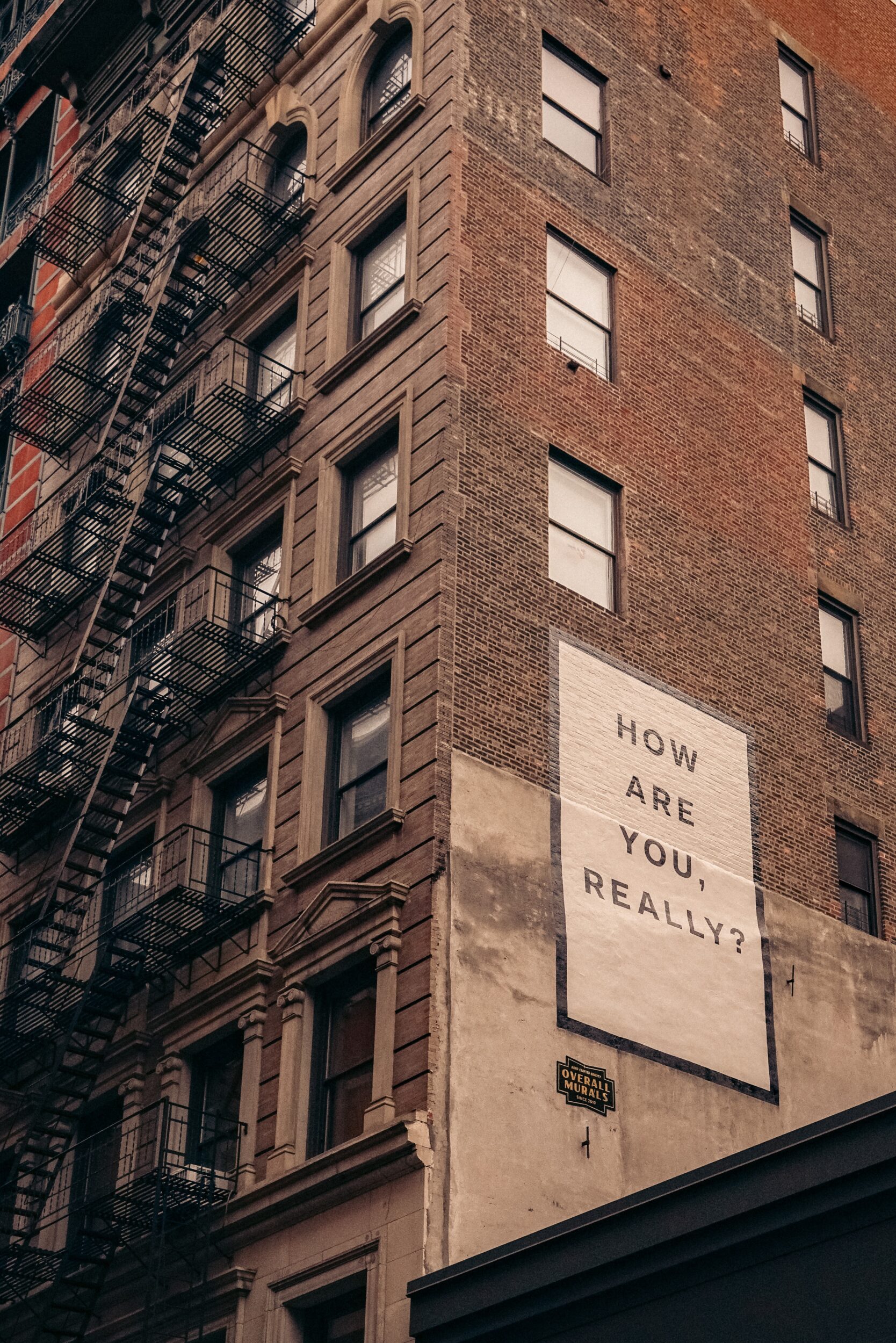 finn-nJupV3AOP-U-unsplash finn-nJupV3AOP-U-unsplash