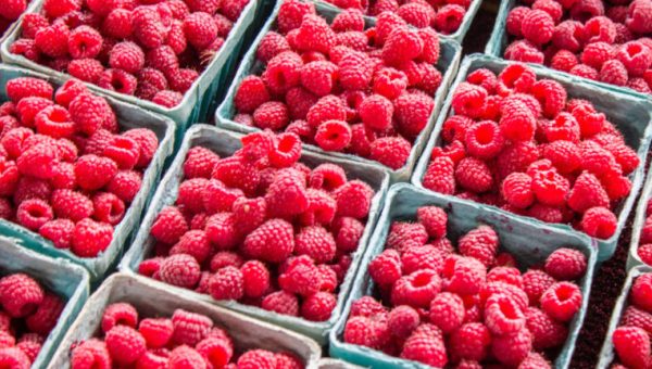Les fruits et légumes de saison au mois de mai // Source : Unsplash
