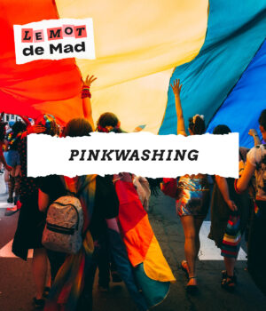 Pinkwashing // Source : Mercedes Mehling