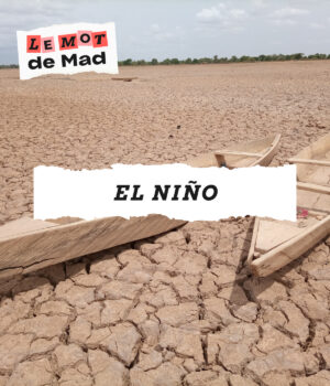 Le Mot de Mad : El Niño // Source : Unsplash / Yoda Adaman