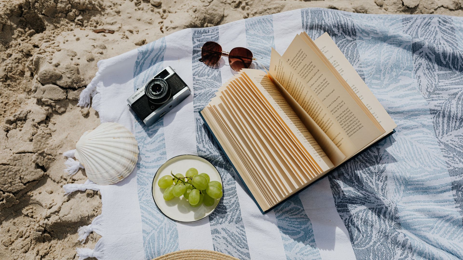 roman idéal pour l'été famille de menteurs de E. Lockhart // Source : Pexels/Karolina Grabowska roman idéal pour l'été famille de menteurs de E. Lockhart // Source : Pexels/Karolina Grabowska