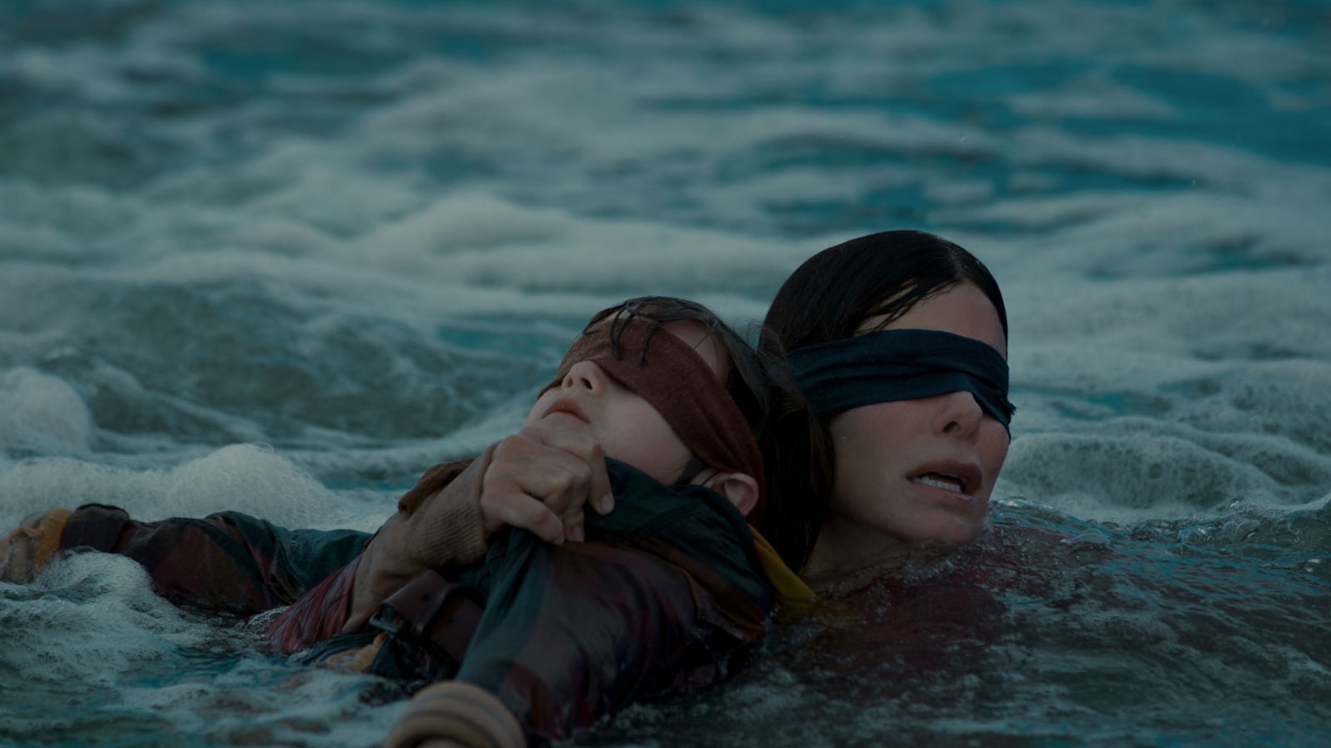 bird box 2018 // Source : netflix