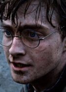 Daniel Radcliffe dans Harry Potter 8 // Source : WB