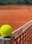 Tennis // Source :  Matthias David