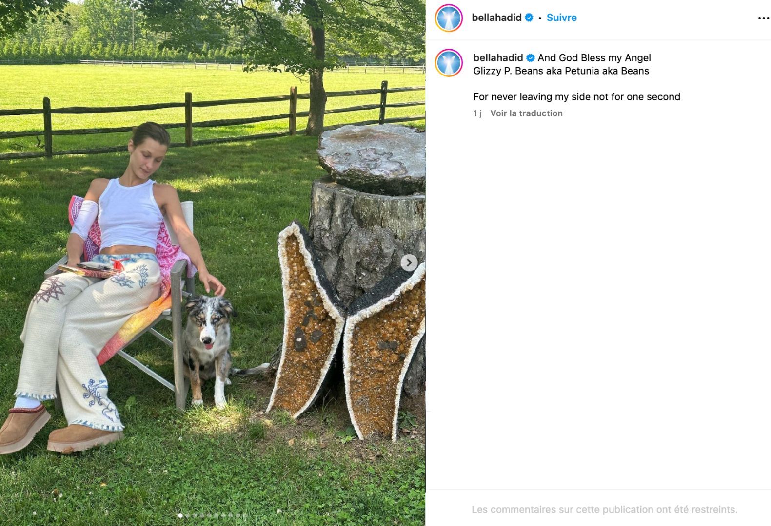 Dans une publication Instagram, Bella Hadid célèbre le soutien de sa chienne à travers sa maladie de Lyme