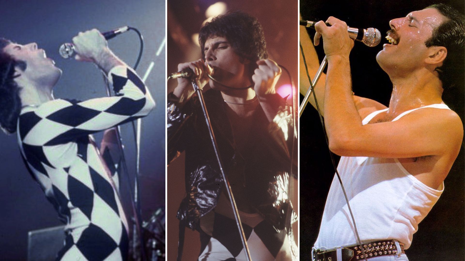 De ses looks androgynes dans les années 1970 à ceux plus archétypaux de la masculinité dans les années 1980, Freddie Mercury savait soigner son image // Source : Wikimeda / Creative Commons