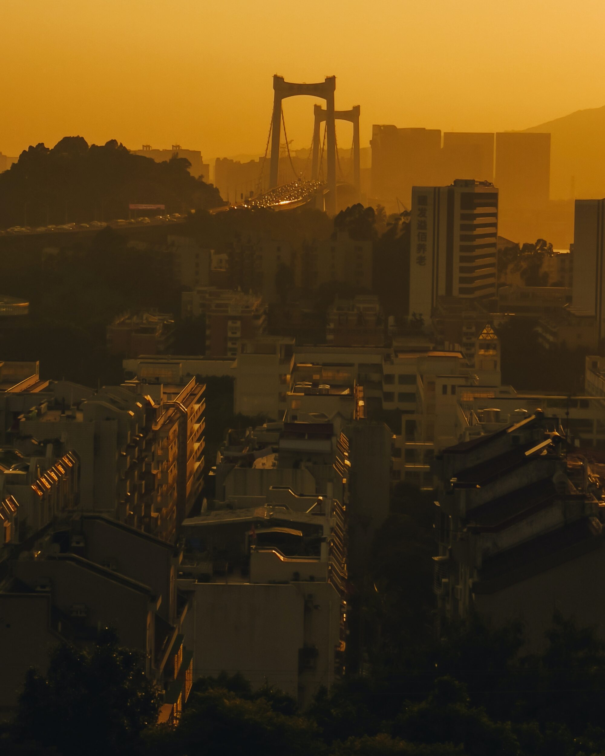 pexels-toter-yau-17985036 pexels-toter-yau-17985036