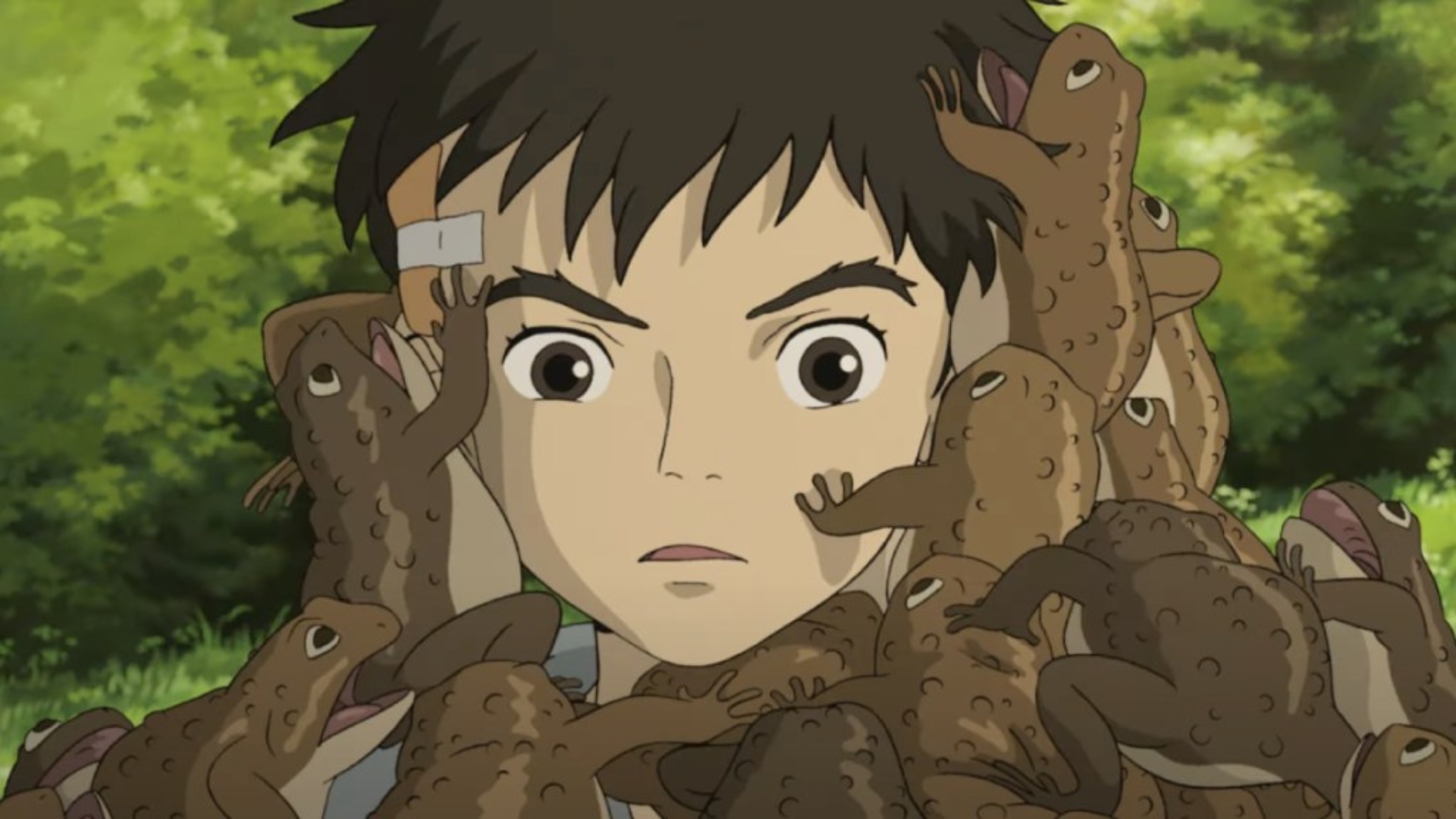 Le Garçon et le Héron // Source : Ghibli Le Garçon et le Héron // Source : Ghibli