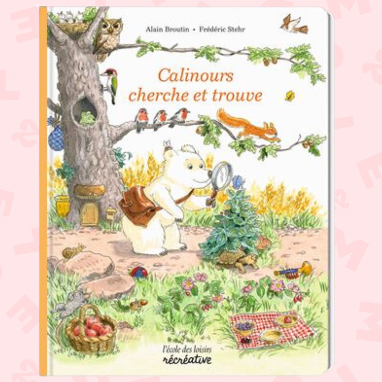 Calinours cherche et trouve