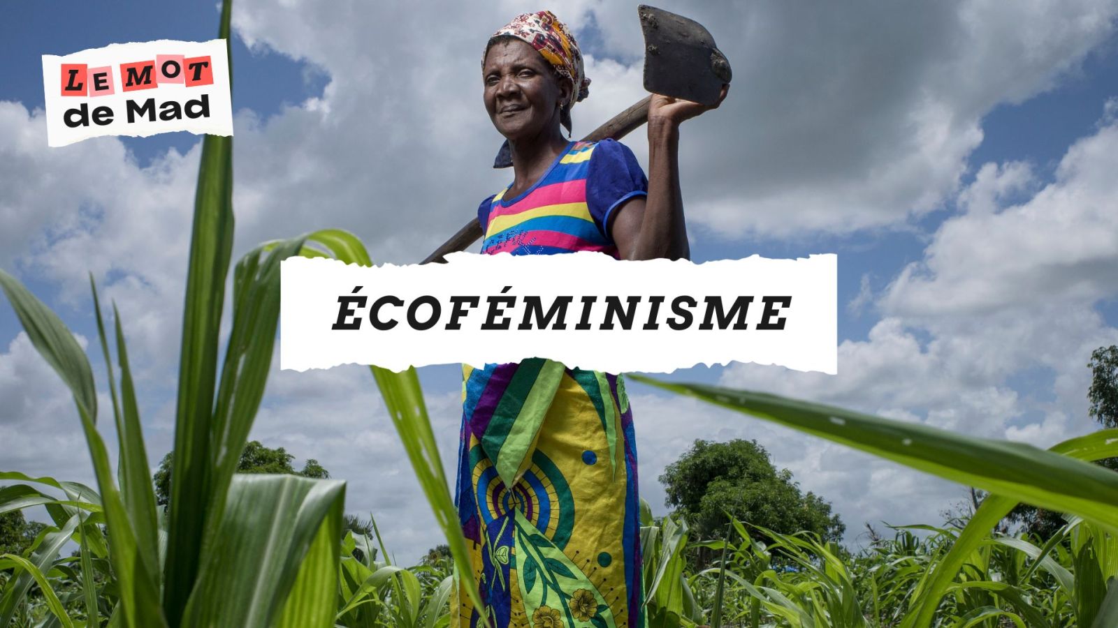 Écoféminismes main image 0