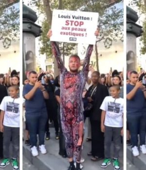 Jeremstar, interpellé par la police devant Louis Vuitton alors qu'il hurlait Non à la souffrance animale pour la mode » // Source : Capture d'écran Twitter
