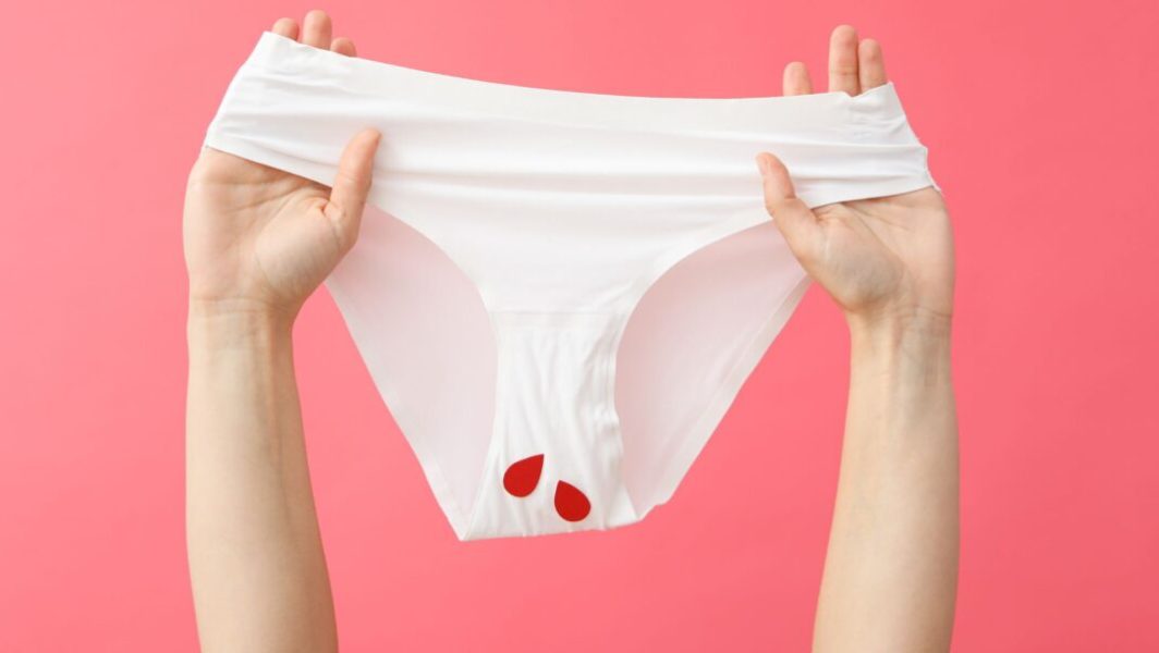 Les meilleures culottes menstruelles grande taille